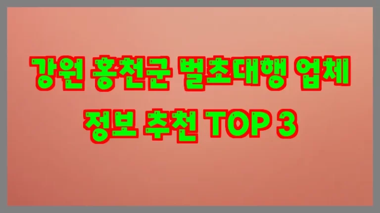 강원 홍천군 벌초대행 업체 정보 추천 TOP 3