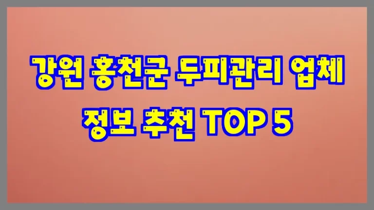 강원 홍천군 두피관리 업체 정보 추천 TOP 5