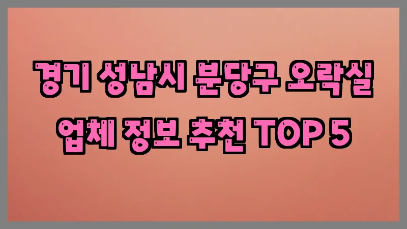 경기 성남시 분당구 오락실
