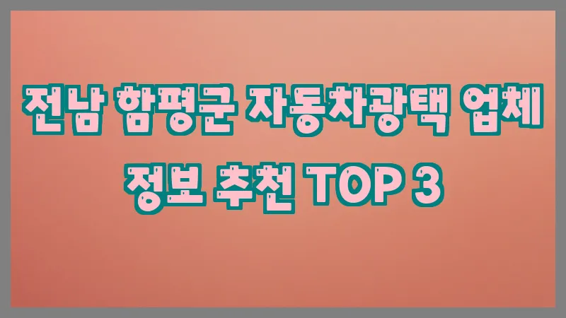 전남 함평군 자동차광택