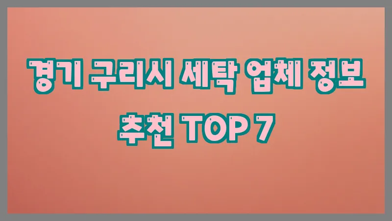경기 구리시 세탁
