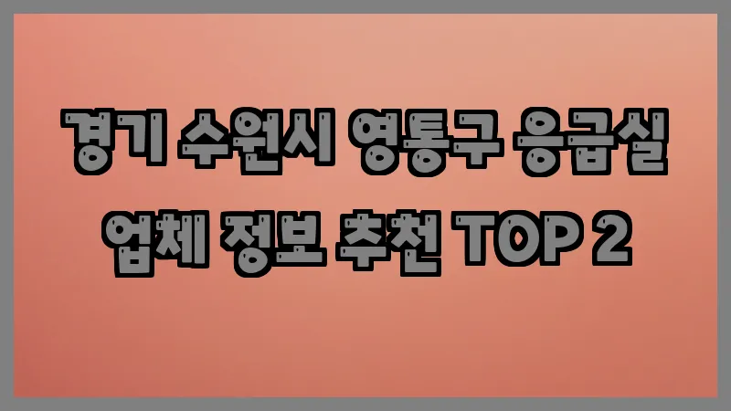 경기 수원시 영통구 응급실 업체 정보 추천 TOP 2
