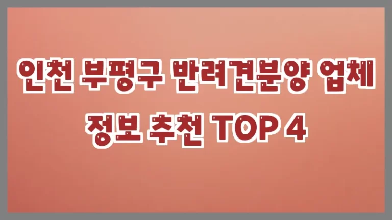 인천 부평구 반려견분양 업체 정보 추천 TOP 4