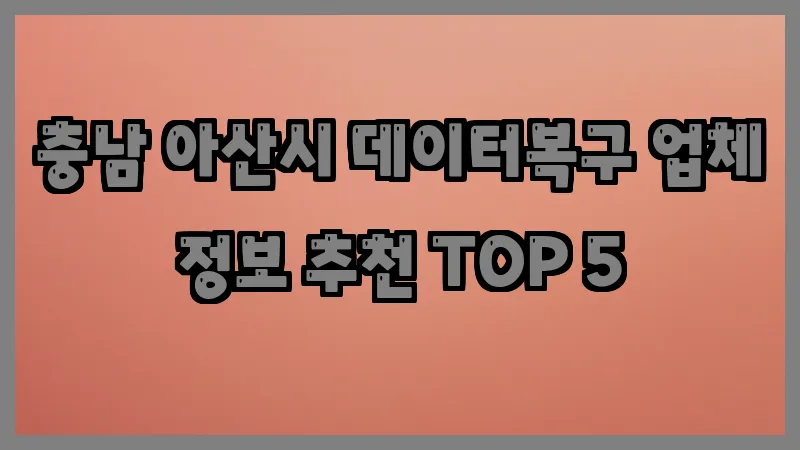 충남 아산시 데이터복구