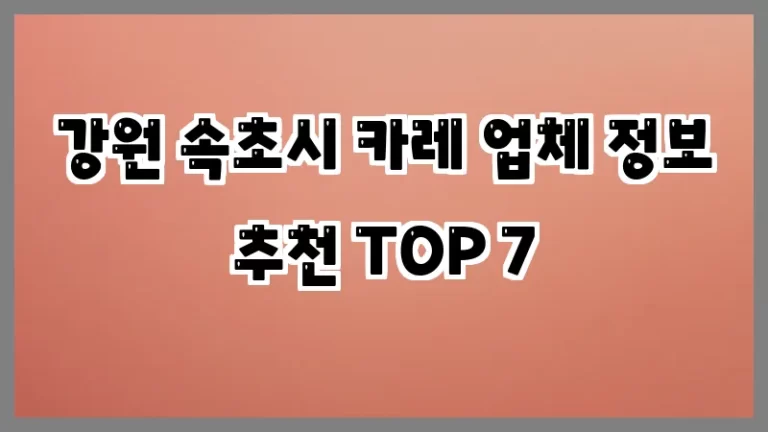 강원 속초시 카레 업체 정보 추천 TOP 7