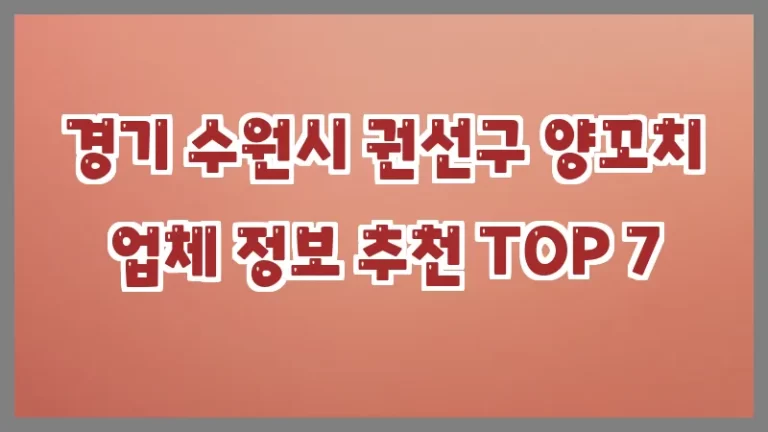경기 수원시 권선구 양꼬치 업체 정보 추천 TOP 7