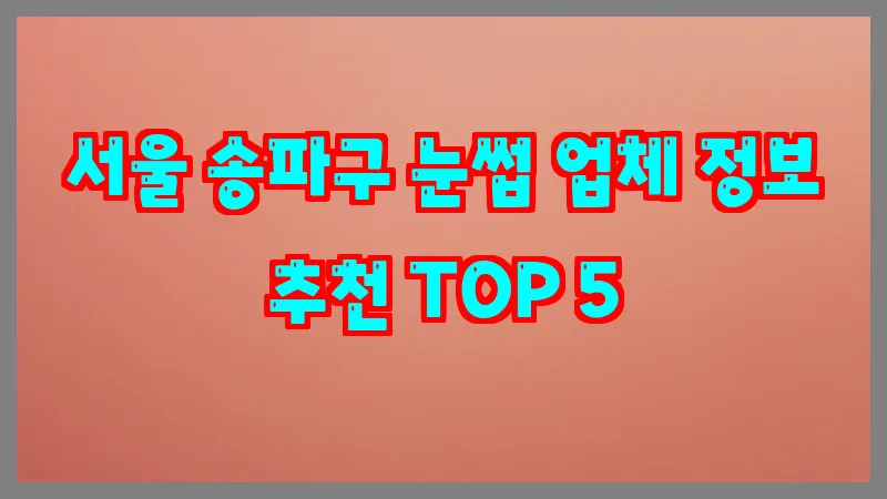 서울 송파구 눈썹