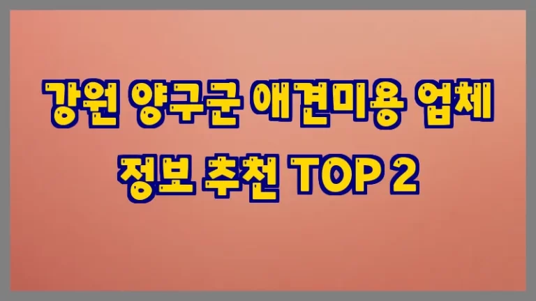 강원 양구군 애견미용 업체 정보 추천 TOP 2