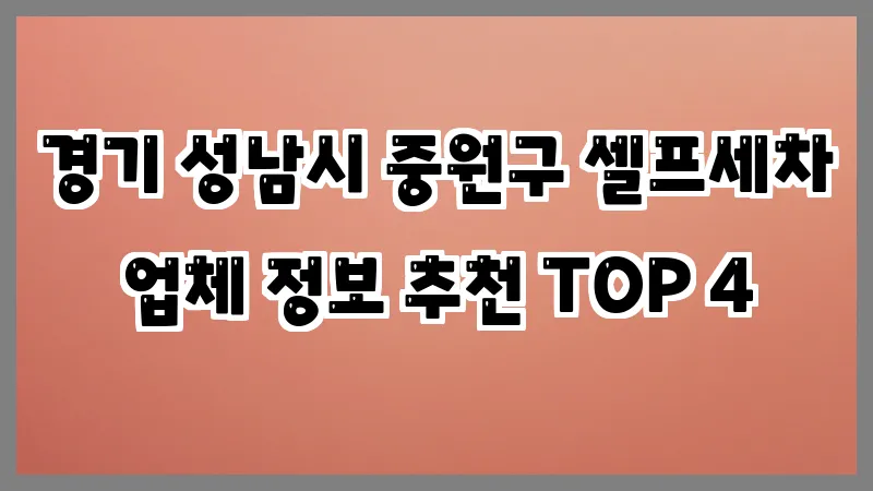 경기 성남시 중원구 셀프세차 업체 정보 추천 TOP 4