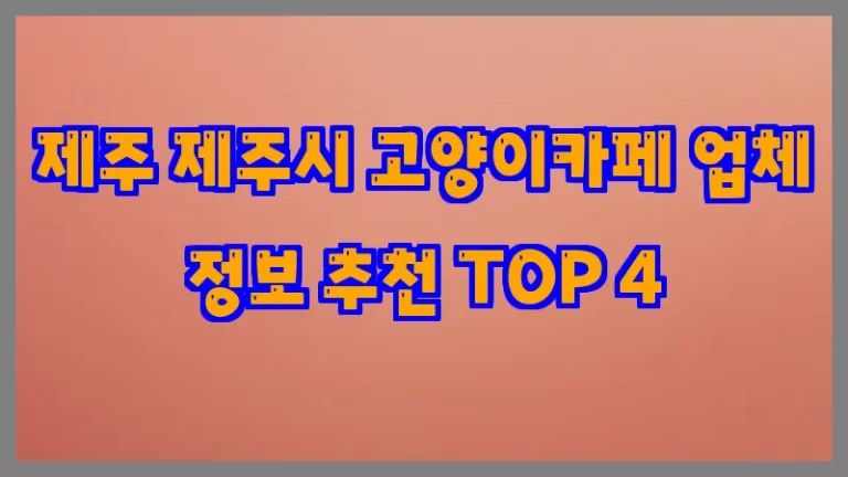 제주 제주시 고양이카페 업체 정보 추천 TOP 4