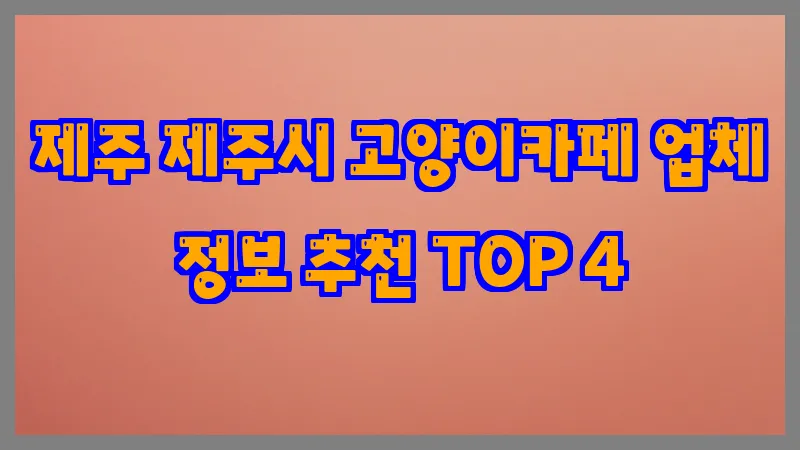 제주 제주시 고양이카페