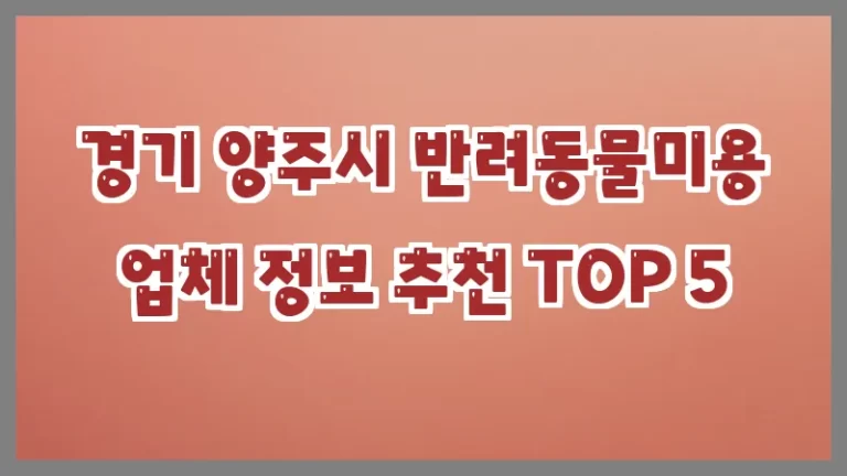 경기 양주시 반려동물미용 업체 정보 추천 TOP 5