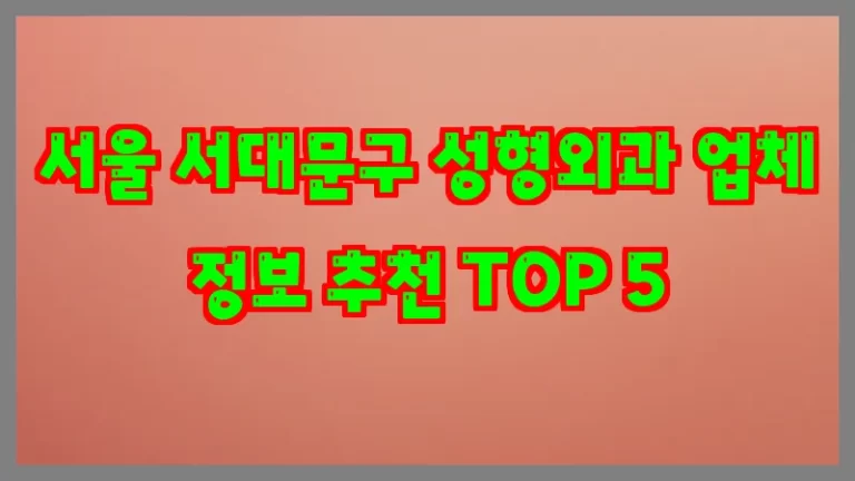 서울 서대문구 성형외과 업체 정보 추천 TOP 5