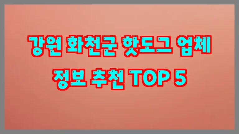 강원 화천군 핫도그 업체 정보 추천 TOP 5