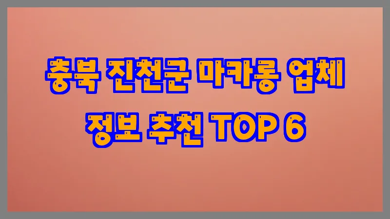 충북 진천군 마카롱