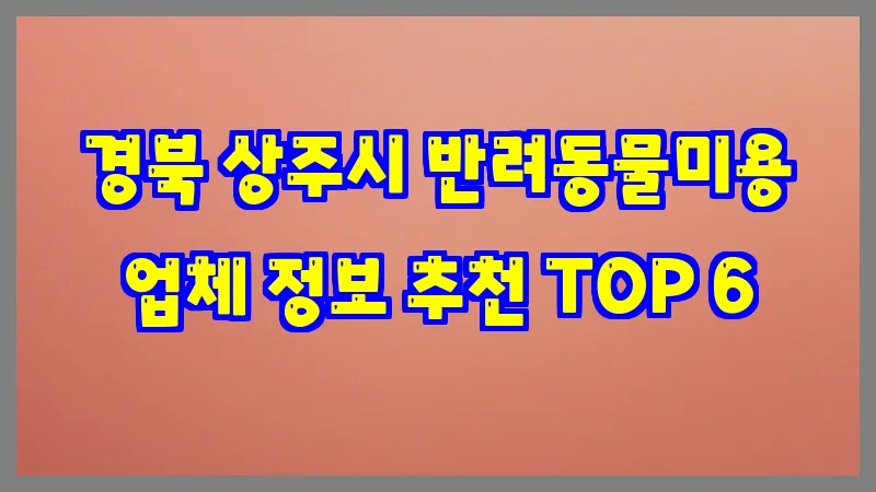 경북 상주시 반려동물미용