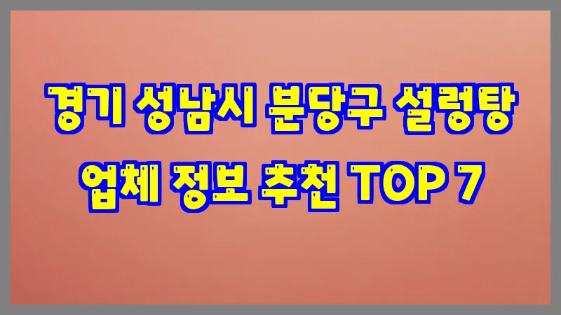 경기 성남시 분당구 설렁탕