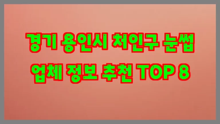 경기 용인시 처인구 눈썹 업체 정보 추천 TOP 8