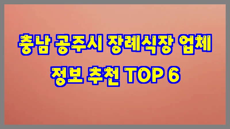 충남 공주시 장례식장