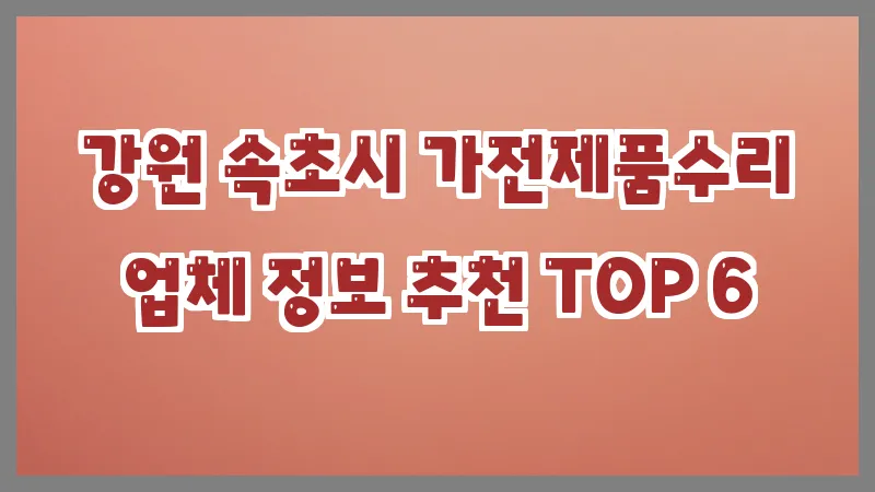 강원 속초시 가전제품수리