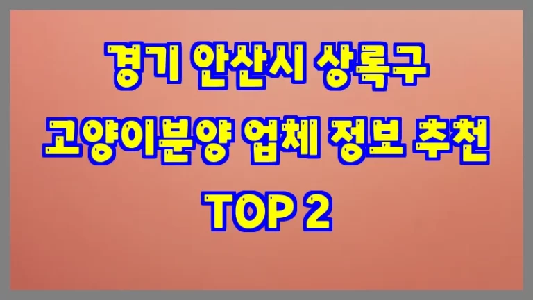 경기 안산시 상록구 고양이분양 업체 정보 추천 TOP 2