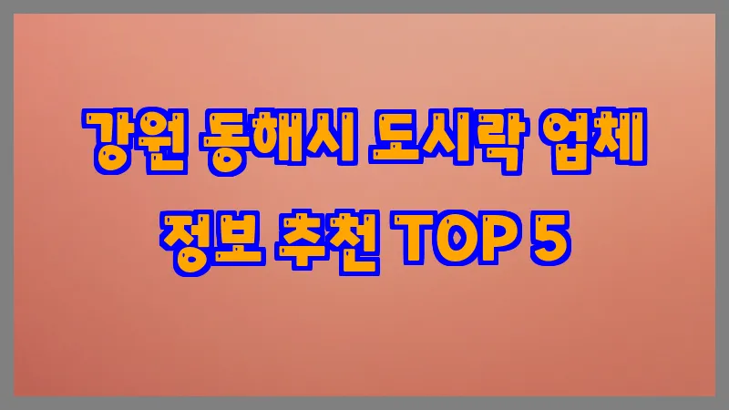 강원 동해시 도시락