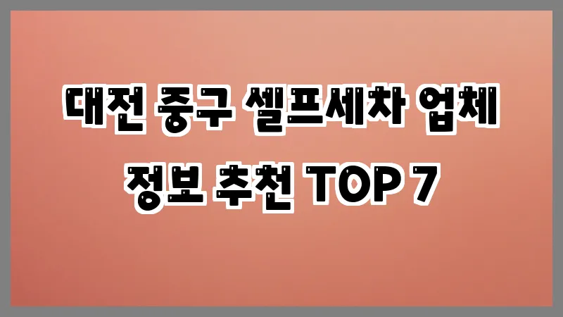 대전 중구 셀프세차