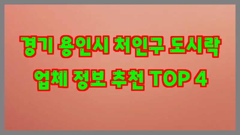 경기 용인시 처인구 도시락