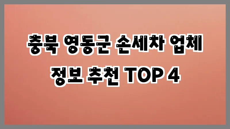 충북 영동군 손세차