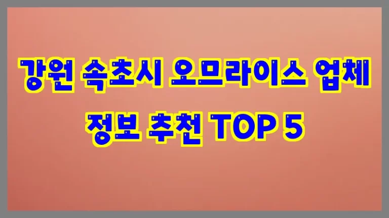 강원 속초시 오므라이스 업체 정보 추천 TOP 5