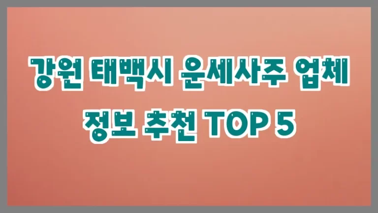 강원 태백시 운세사주 업체 정보 추천 TOP 5