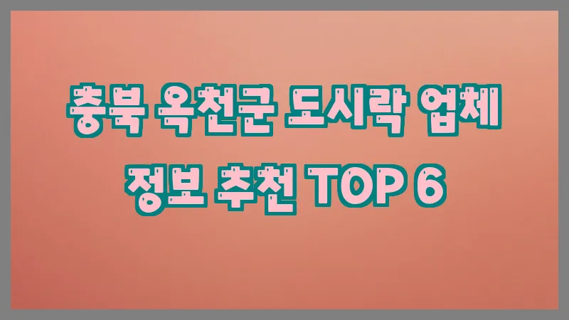 충북 옥천군 도시락