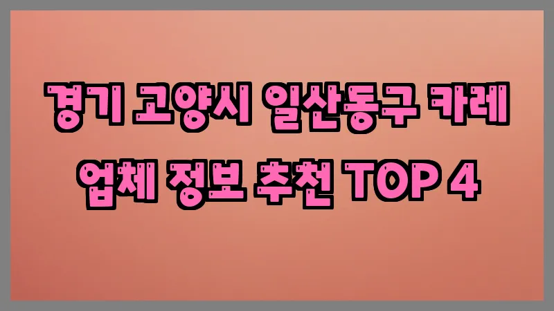 경기 고양시 일산동구 카레