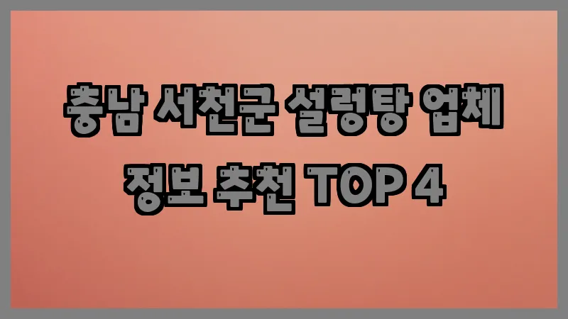충남 서천군 설렁탕