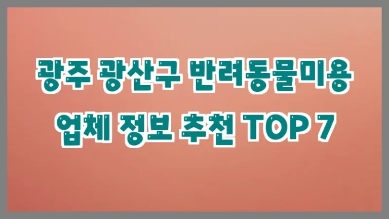 광주 광산구 반려동물미용 업체 정보 추천 TOP 7