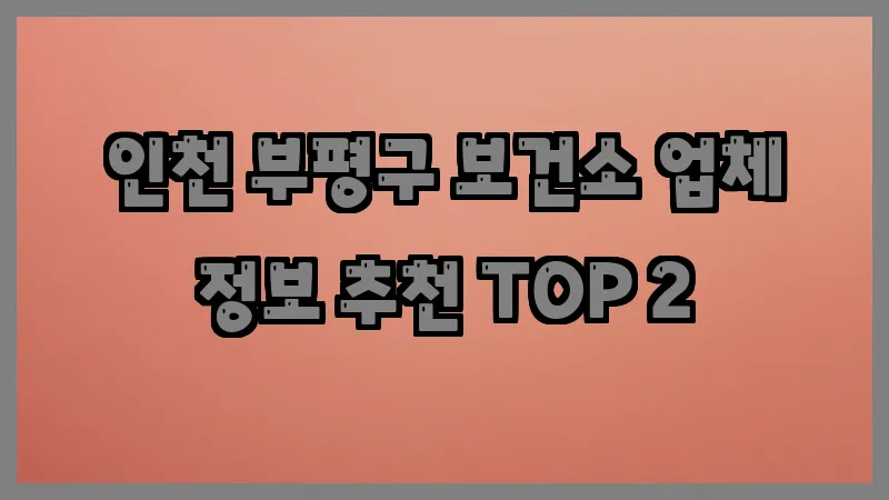 인천 부평구 보건소