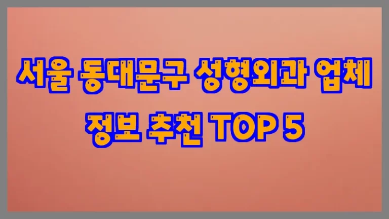 서울 동대문구 성형외과 업체 정보 추천 TOP 5