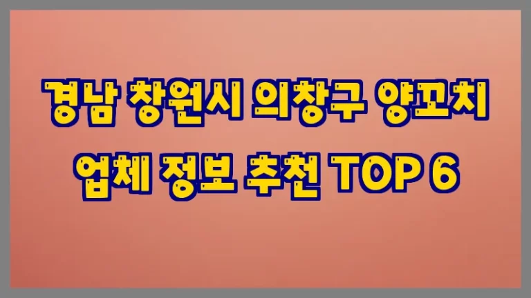 경남 창원시 의창구 양꼬치 업체 정보 추천 TOP 6
