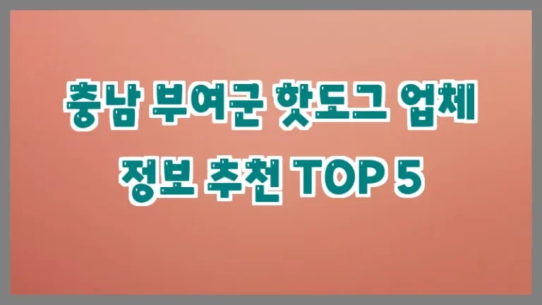 충남 부여군 핫도그 업체 정보 추천 TOP 5