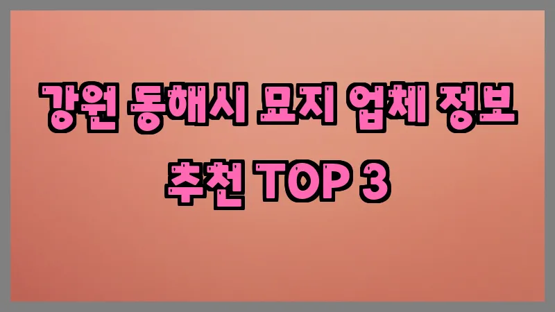 강원 동해시 묘지