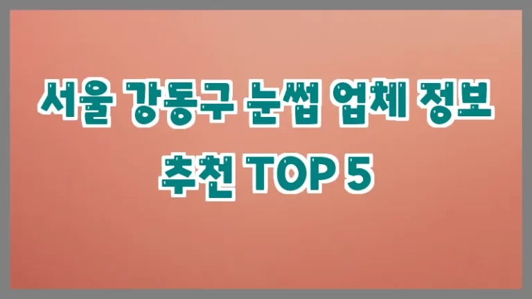 서울 강동구 눈썹 업체 정보 추천 TOP 5