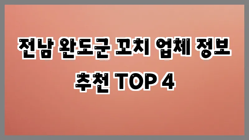 전남 완도군 꼬치