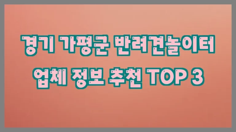 경기 가평군 반려견놀이터 업체 정보 추천 TOP 3