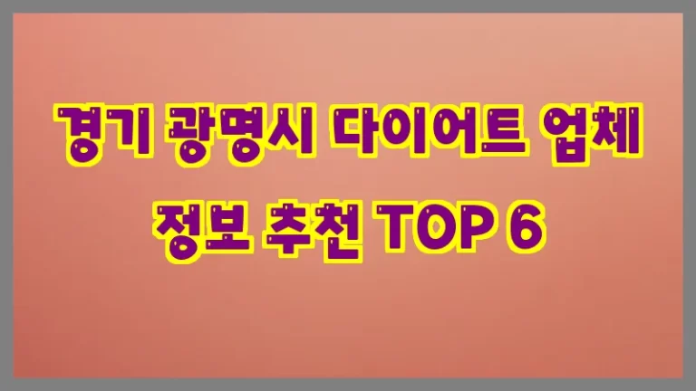 경기 광명시 다이어트 업체 정보 추천 TOP 6