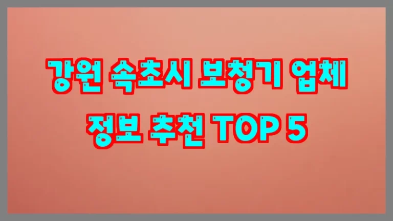 강원 속초시 보청기 업체 정보 추천 TOP 5