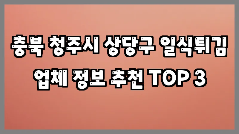 충북 청주시 상당구 일식튀김