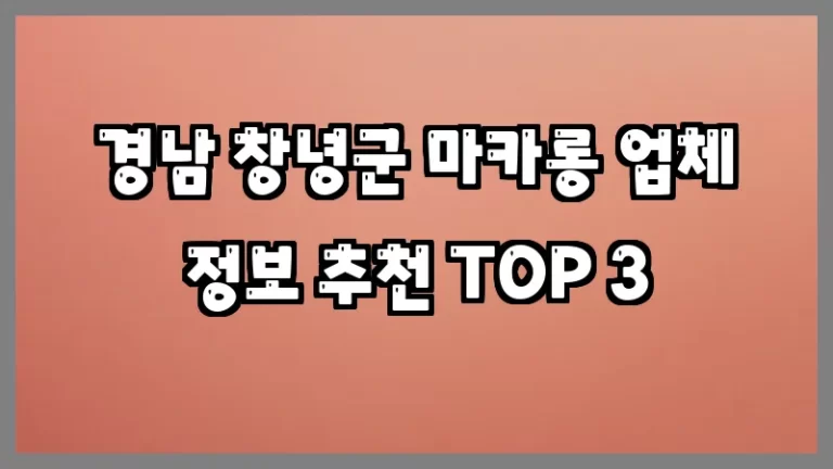 경남 창녕군 마카롱 업체 정보 추천 TOP 3
