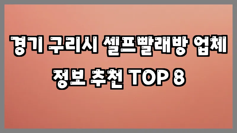 경기 구리시 셀프빨래방