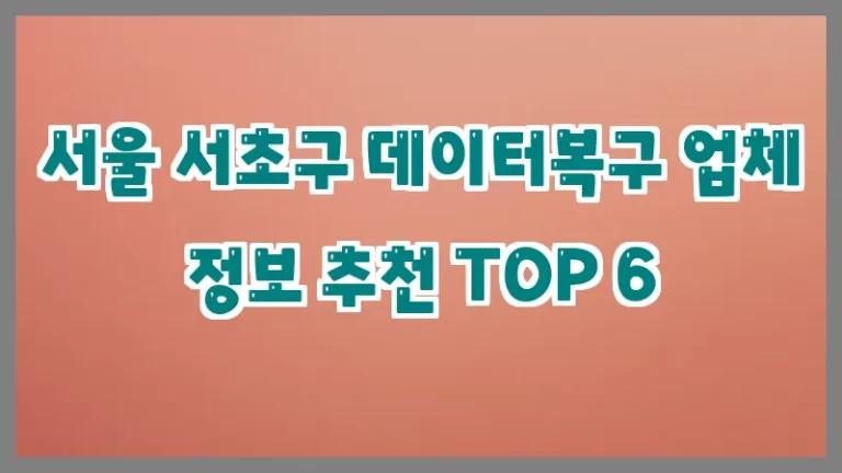 서울 서초구 데이터복구 업체 정보 추천 TOP 6