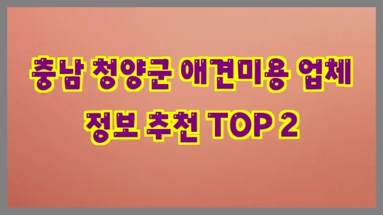 충남 청양군 애견미용 업체 정보 추천 TOP 2